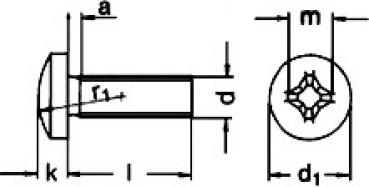 Linsenkopfschraube mit Kreuzschlitz 6 x 30 DIN 7985 A2 100 Stk.