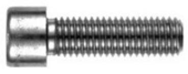 Zylinderschrauben mit Innensechskant  M 6 x 25  DIN 912 8.8 Verzinkt  1 Stk.