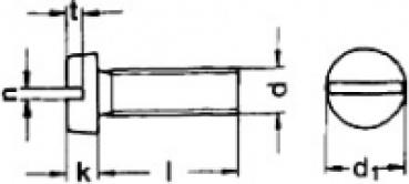 Zylinderschraube mit Schlitz  M 4 x 100  DIN 84 A2 1 Stk.