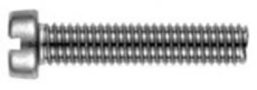 Zylinderschraube mit Schlitz  M 6 x 80  DIN 84 A2 1 Stk.