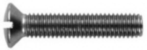 Linsen-Senkschraube mit Schlitz  M 6 x 45  DIN 964 A2 1 Stk.