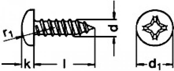 Blechschrauben DIN 7981 5,5 x 16  100 Stk.