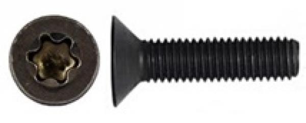 100 schwarze Torx-Schrauben für Scharniere - 4x25 mm - Torx T-20